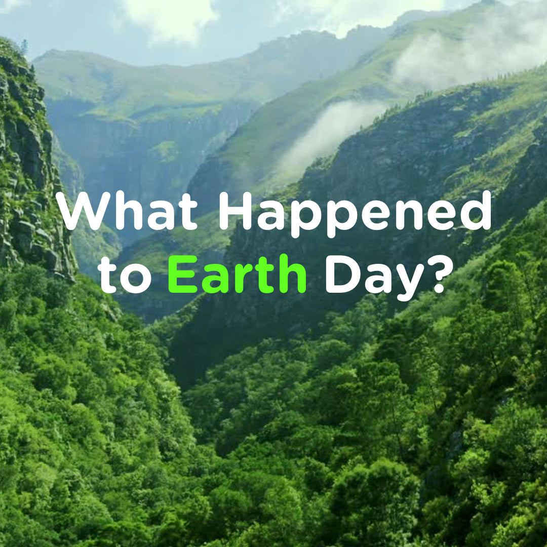 'What happened to Earth Day' text, brought to you by fluf eco-friendly lunch bags