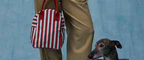 Zipper Lunch - Awning Stripe Chili Pepper