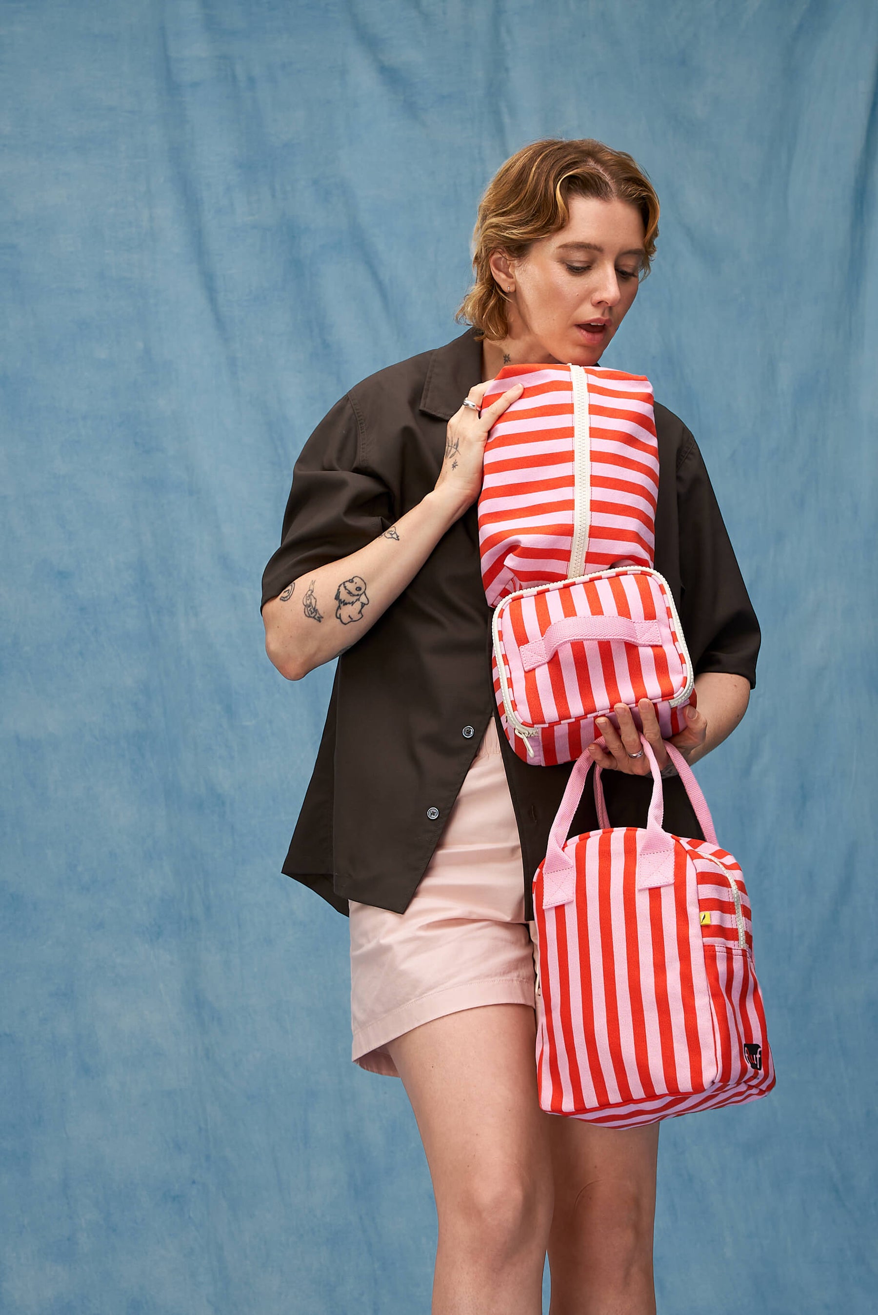 Traveller - Awning Stripe Pink