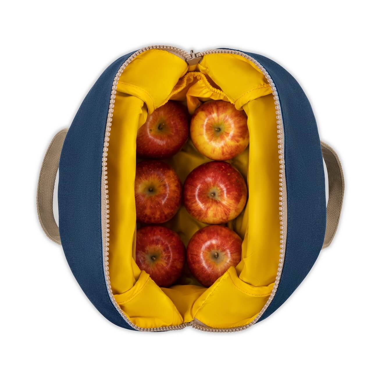 Zipper Lunch - Classic Navy Blue