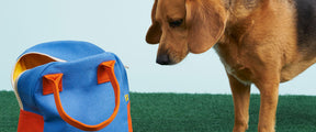 Zipper Lunch - Doggy Bag